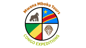 Mwana Mboka Tours